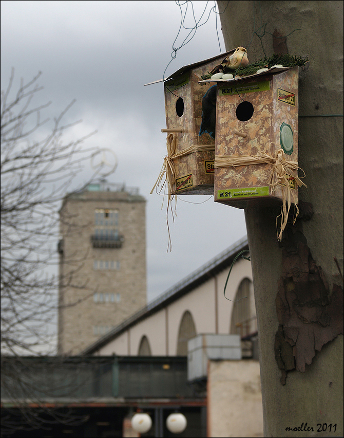 Stuttgarter Vogelhäuschen