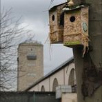 Stuttgarter Vogelhäuschen