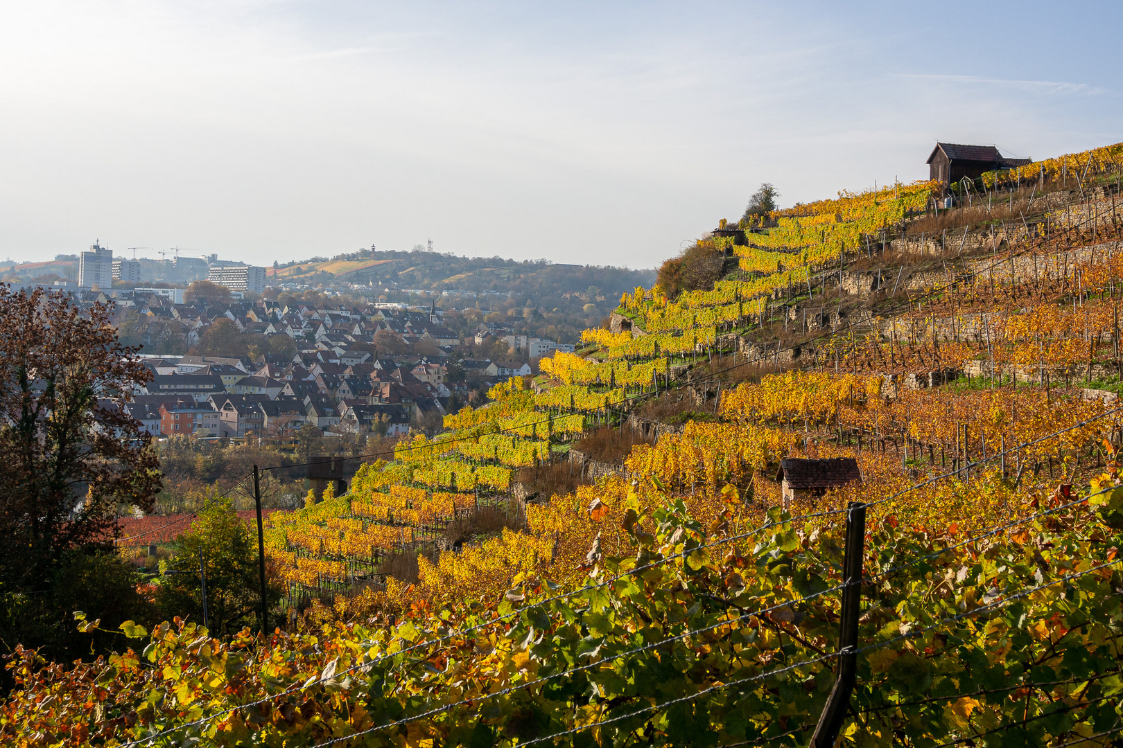 Stuttgarter Weinberge im Herbst