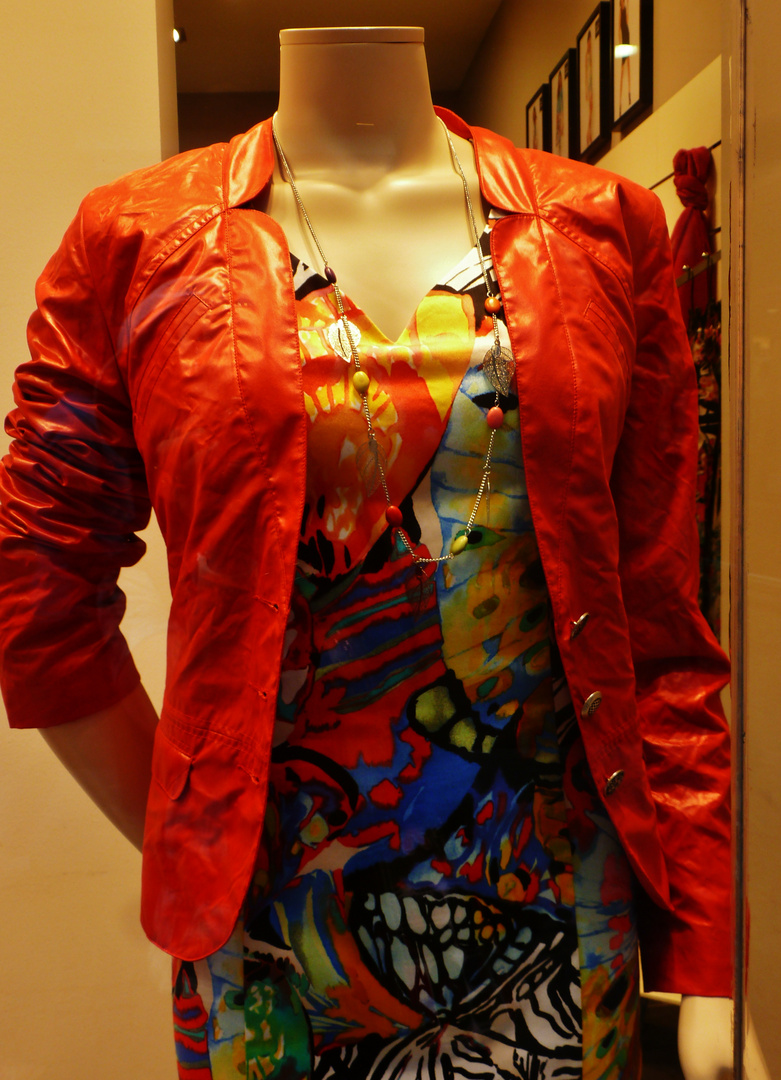 Style vestimentaire en vitrine chacun ses go ts photo et Style vestimentaire en vitrine chacun ses go ts photo et