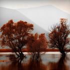 Stymfalia Lake, Peloponnese, Greece