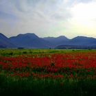 Stymfalia,Peloponnese, Greece