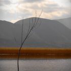 Stymphalia lake, Peloponnese, Greece