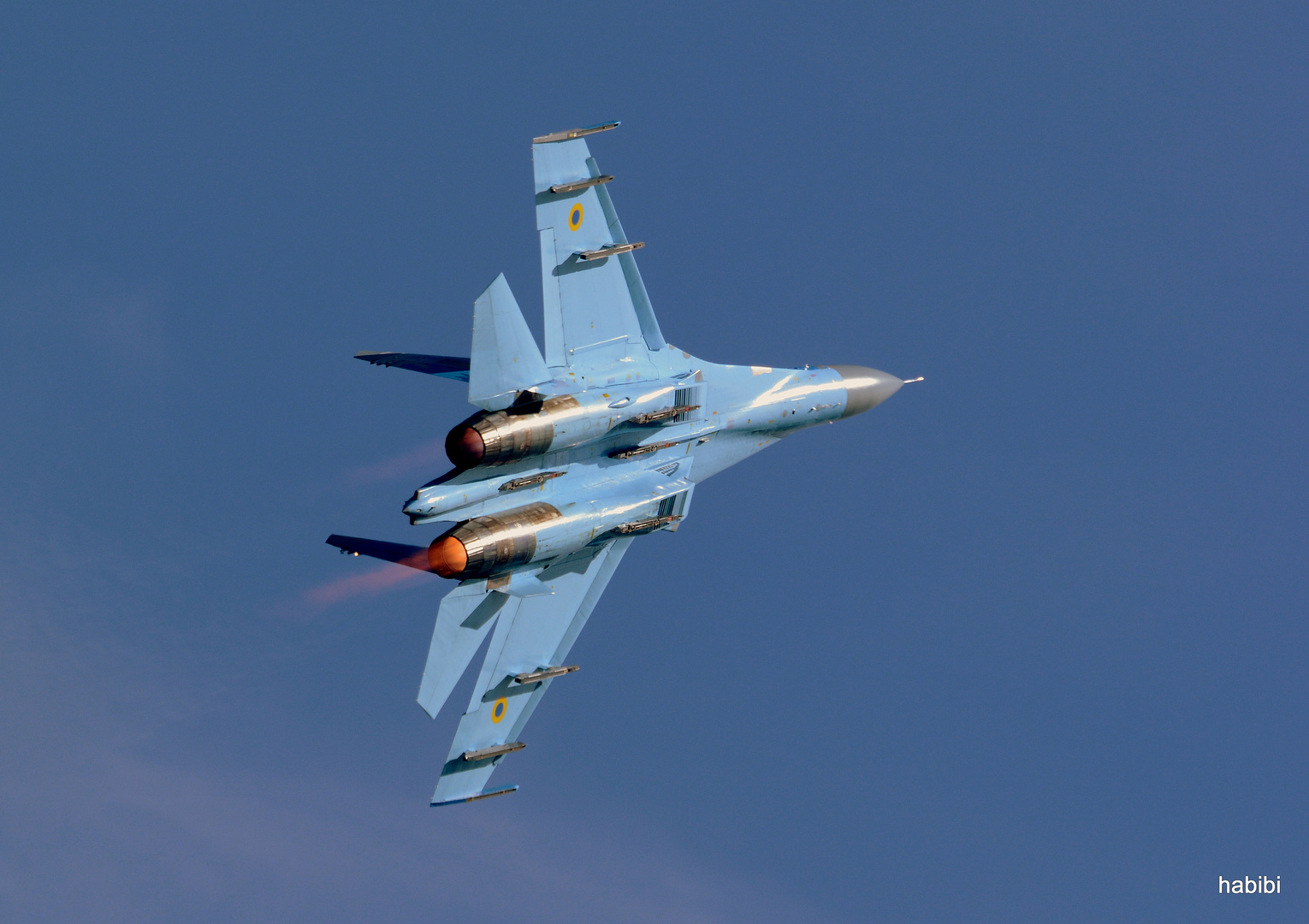 SU-27 Flanker