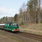 SU 45 089 Vorbeifahrt zwischen Zlociniec und Lubowo. April 2016