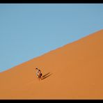 su e giù per le dune