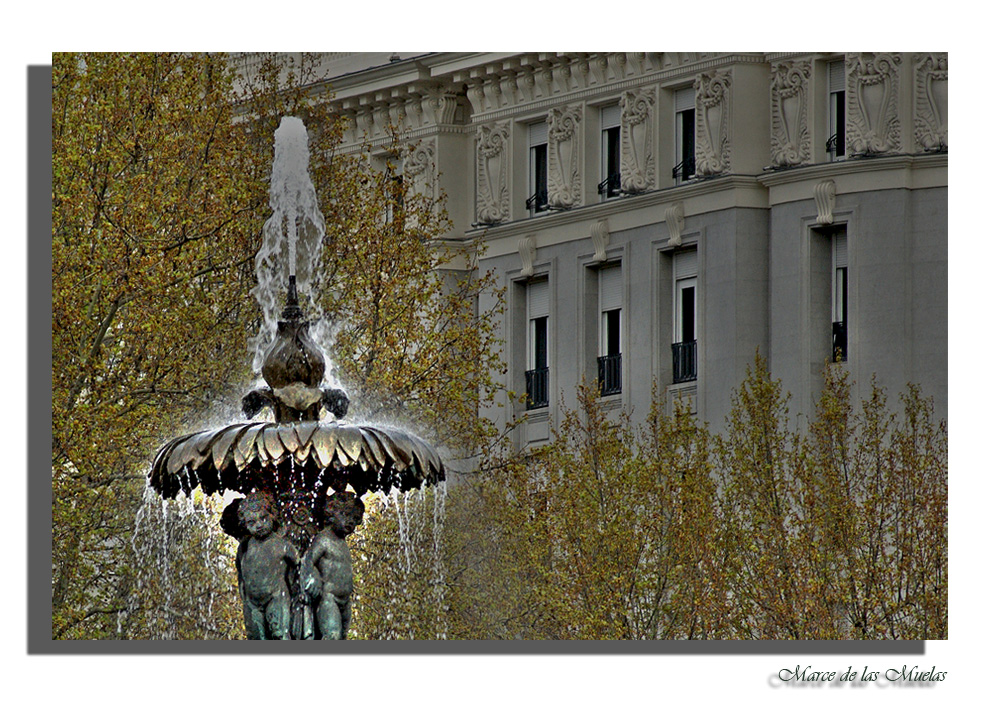 Su propia luz.....