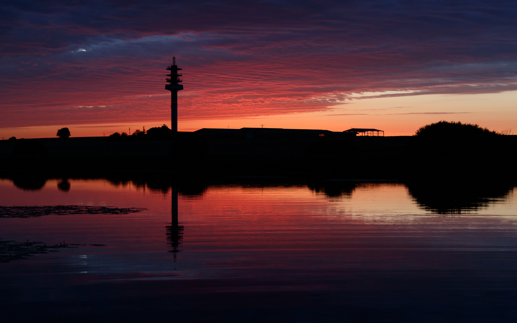 SU Stockweiher-0061-2