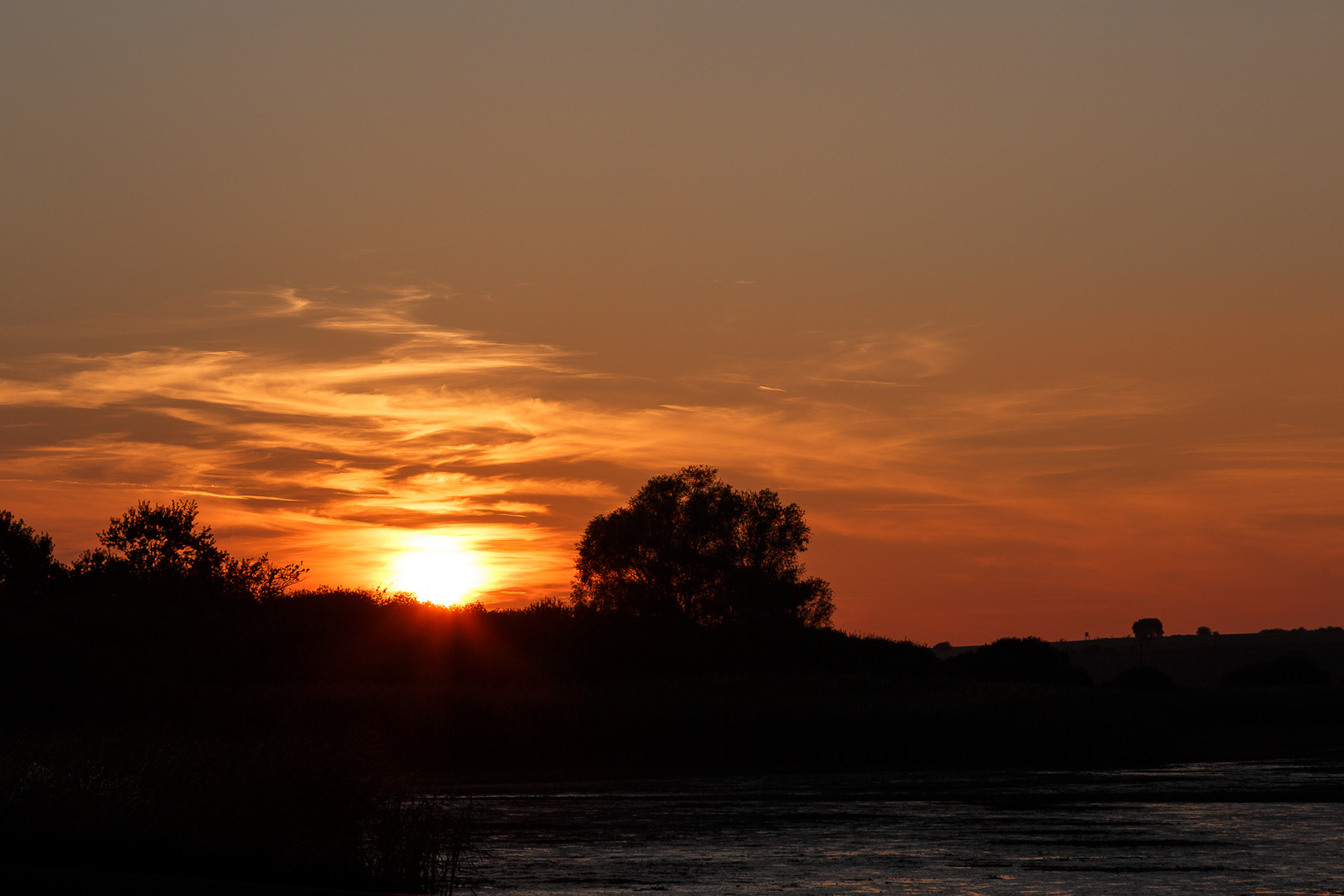 SU Stockweiher 111015