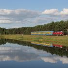 SU45-079 mit 88913 am Einfahrsignal von Gorki Noteckie