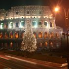 SUA MAESTA' IL COLOSSEO