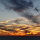 Sub-Tropical Sunset Naples Florida