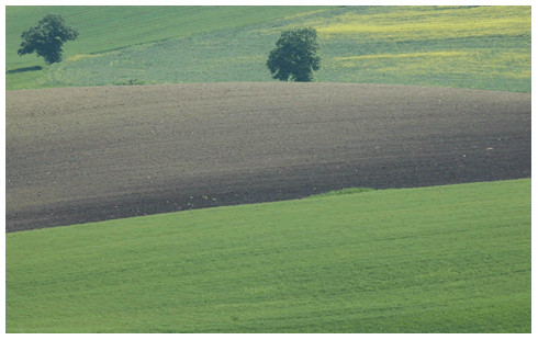 subappennino dauno