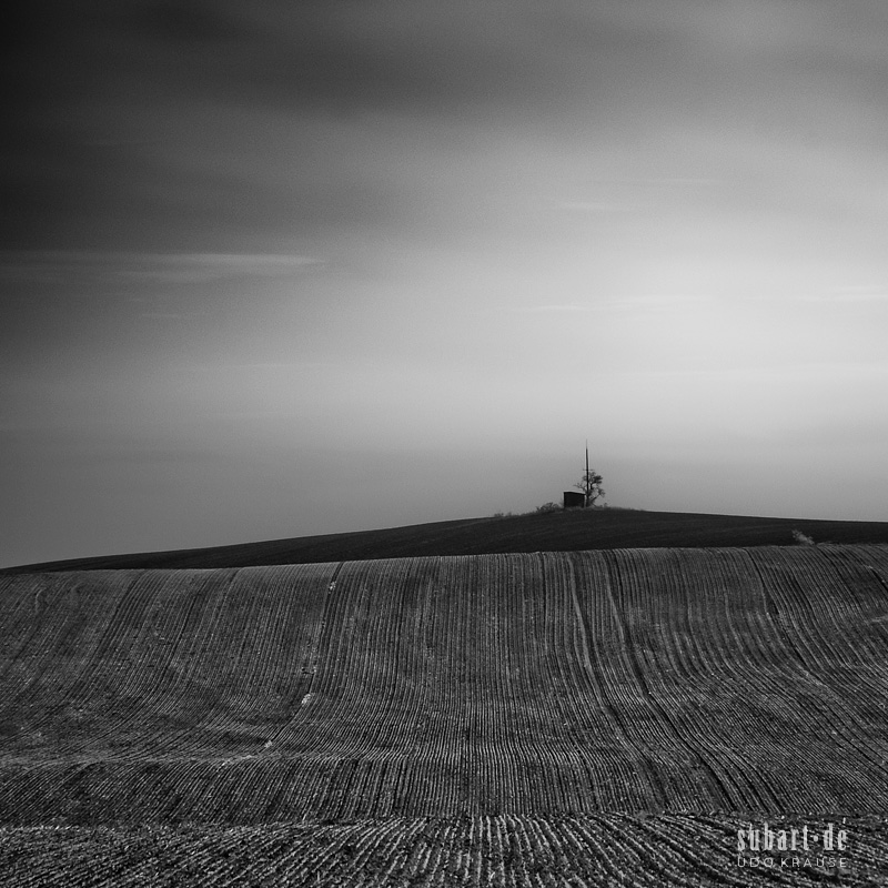 SUBART-LANDSCAPE-IR-090