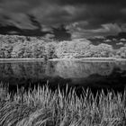 SUBART-LANDSCHAFT-INFRARED-003