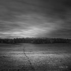 SUBART-LANDSCHAFT-IR-063