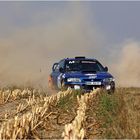 Subaru auf dem Acker