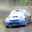 Subaru Slide Raglan NZ 2007