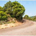 Subiendo a la Sierra Cordobesa.