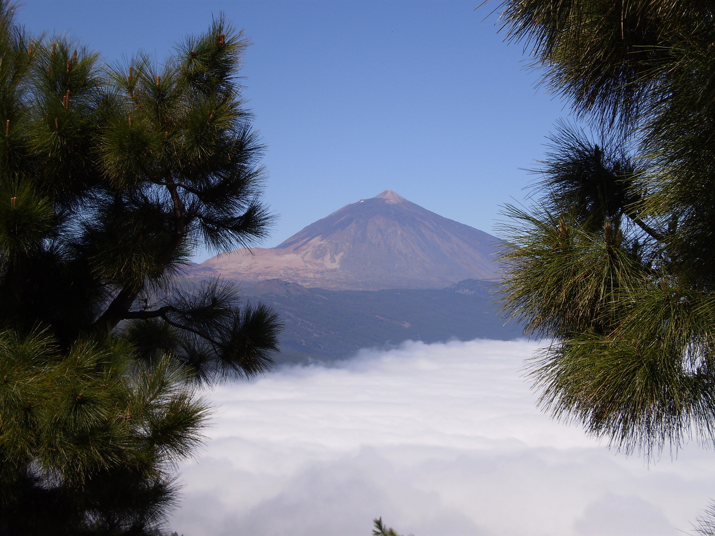 subiendo al teide