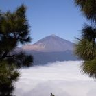 subiendo al teide