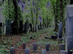 subjektiever Eindruck eines Friedhofs