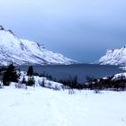 Sublime Norvège