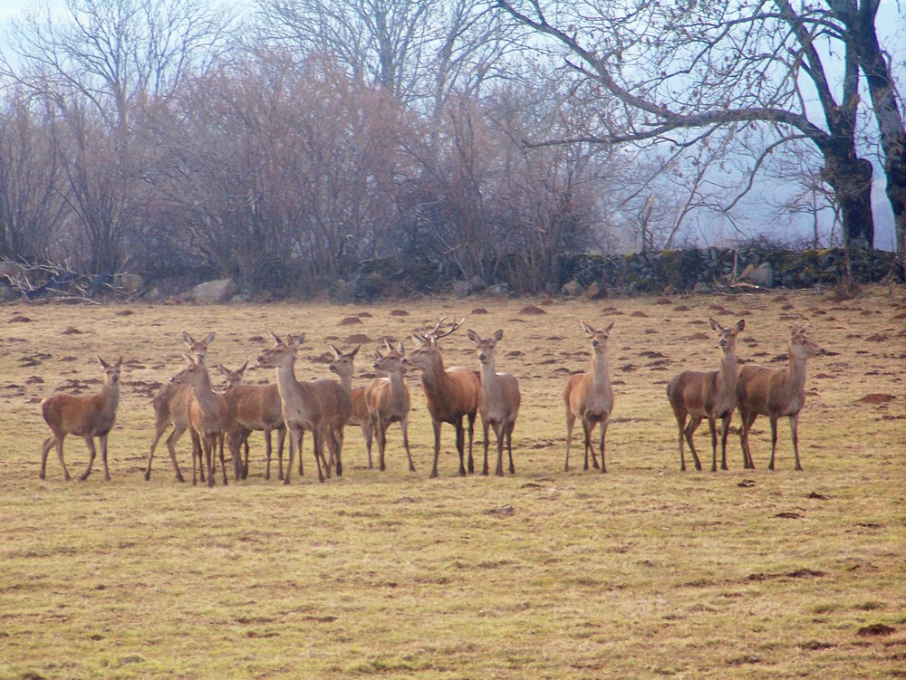 sublime rencontre ce week-end