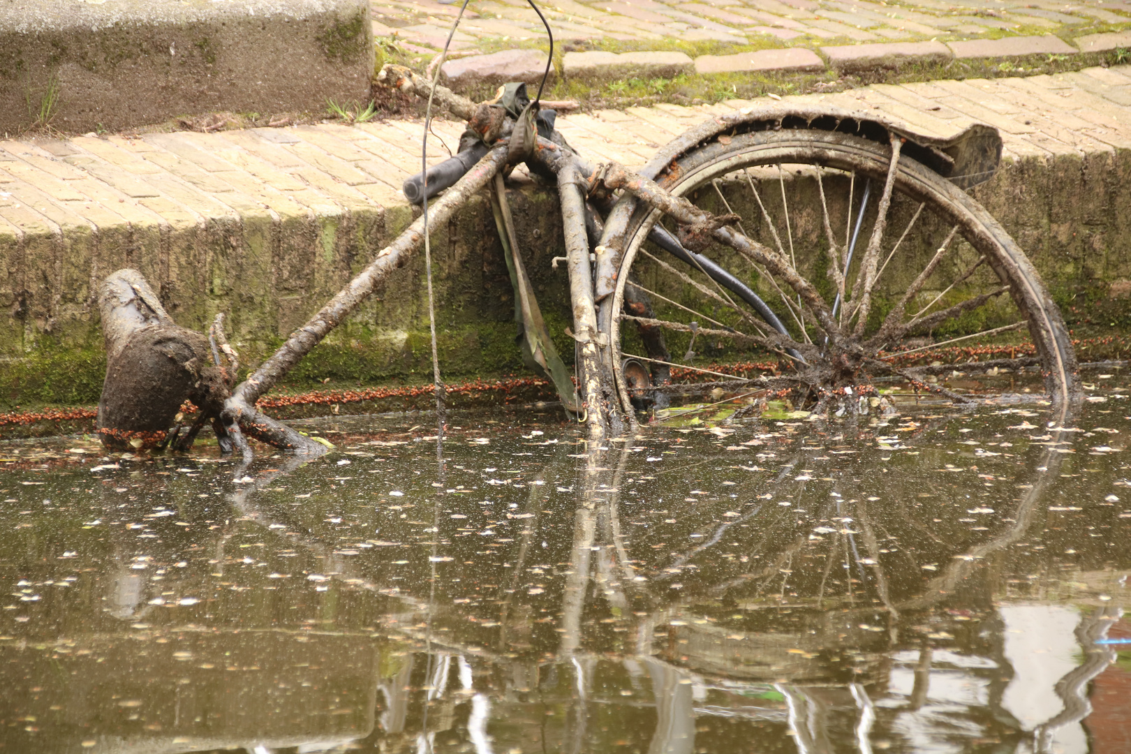 Submarine Bicycle