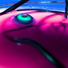 submerge the eye in toxic pink