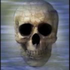 Submerged Skull