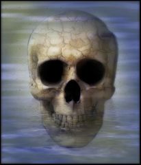 Submerged Skull