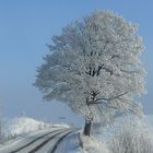 suburban area in winter