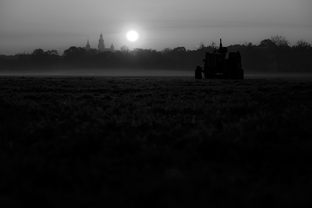 Suburban Lanscape