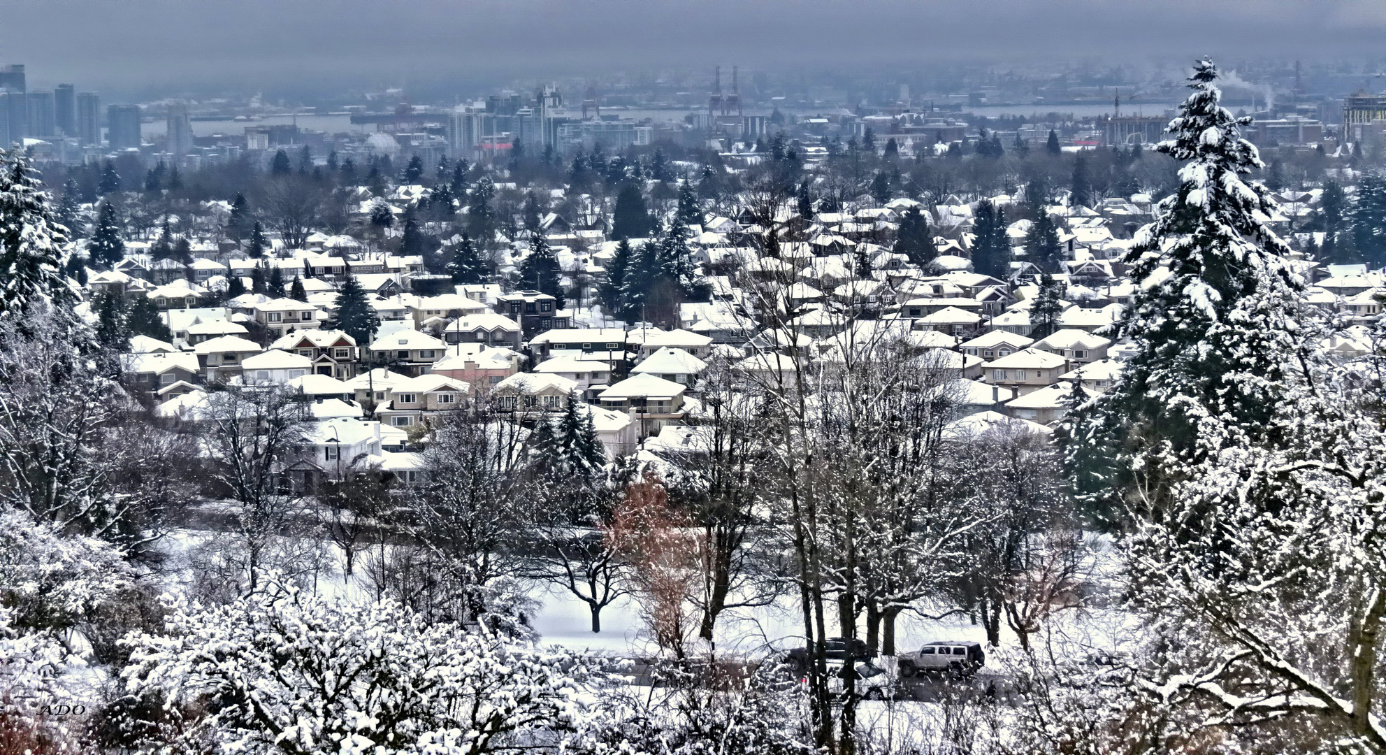 Suburban Vancouver