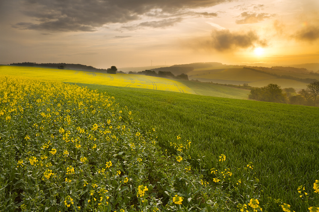 Subventionierte Landschaft