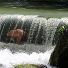 Subway der "Munich Niagara Falls"