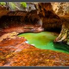 Subway, Zion National Park