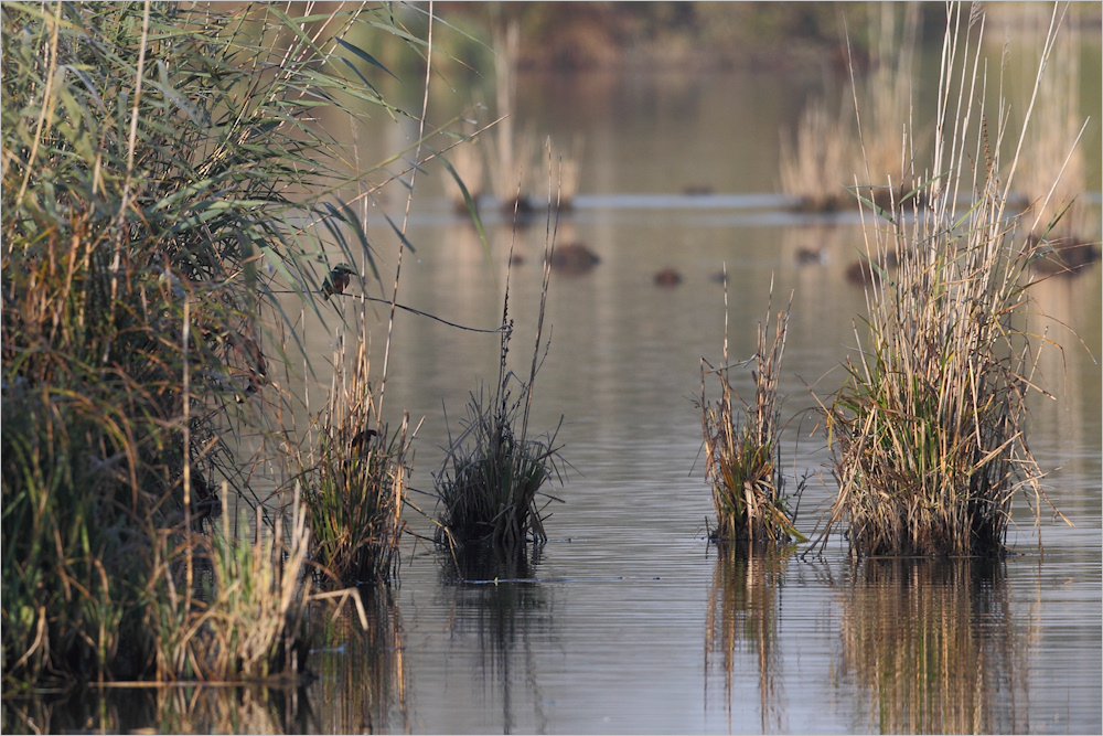 Suchbild