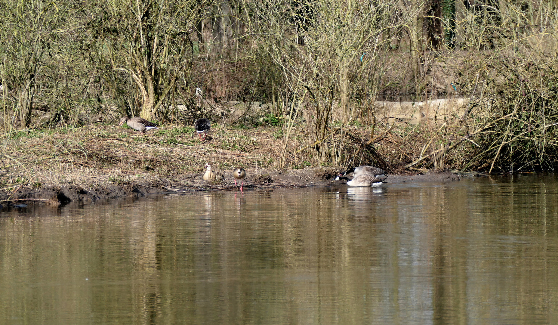 Suchbild