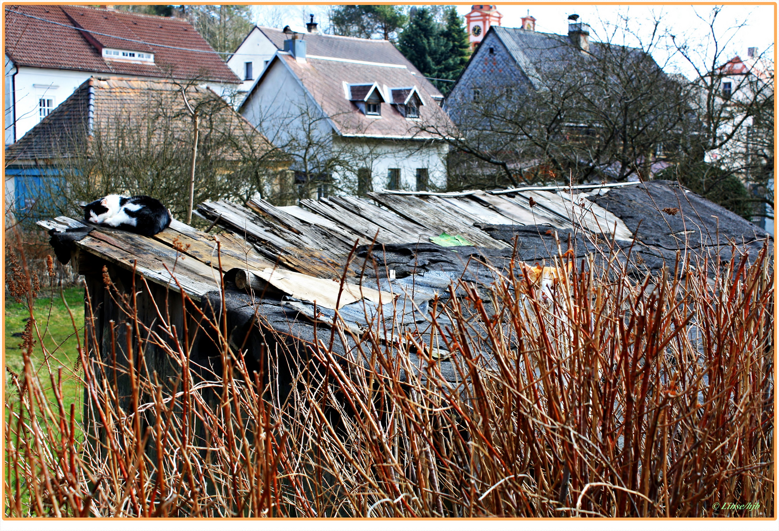 Suchbild - der getarnte (Dorf) - Spion 