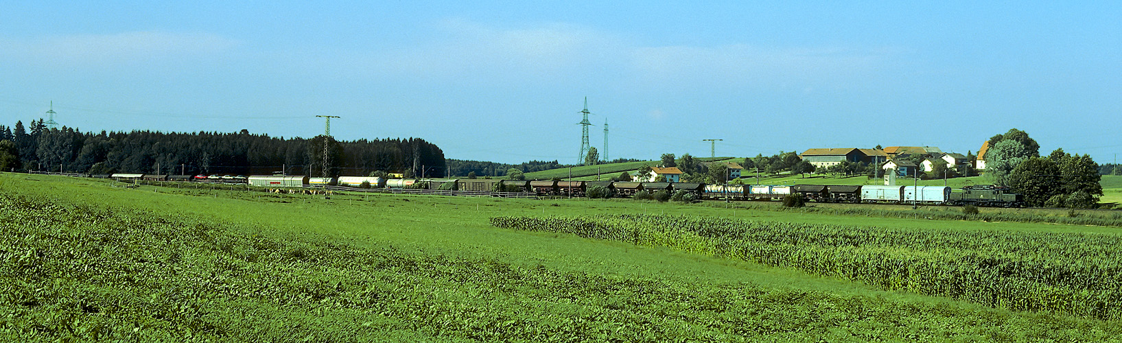 Suchbild grün in grün