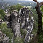 Suchbild im Elbsandsteingebirge