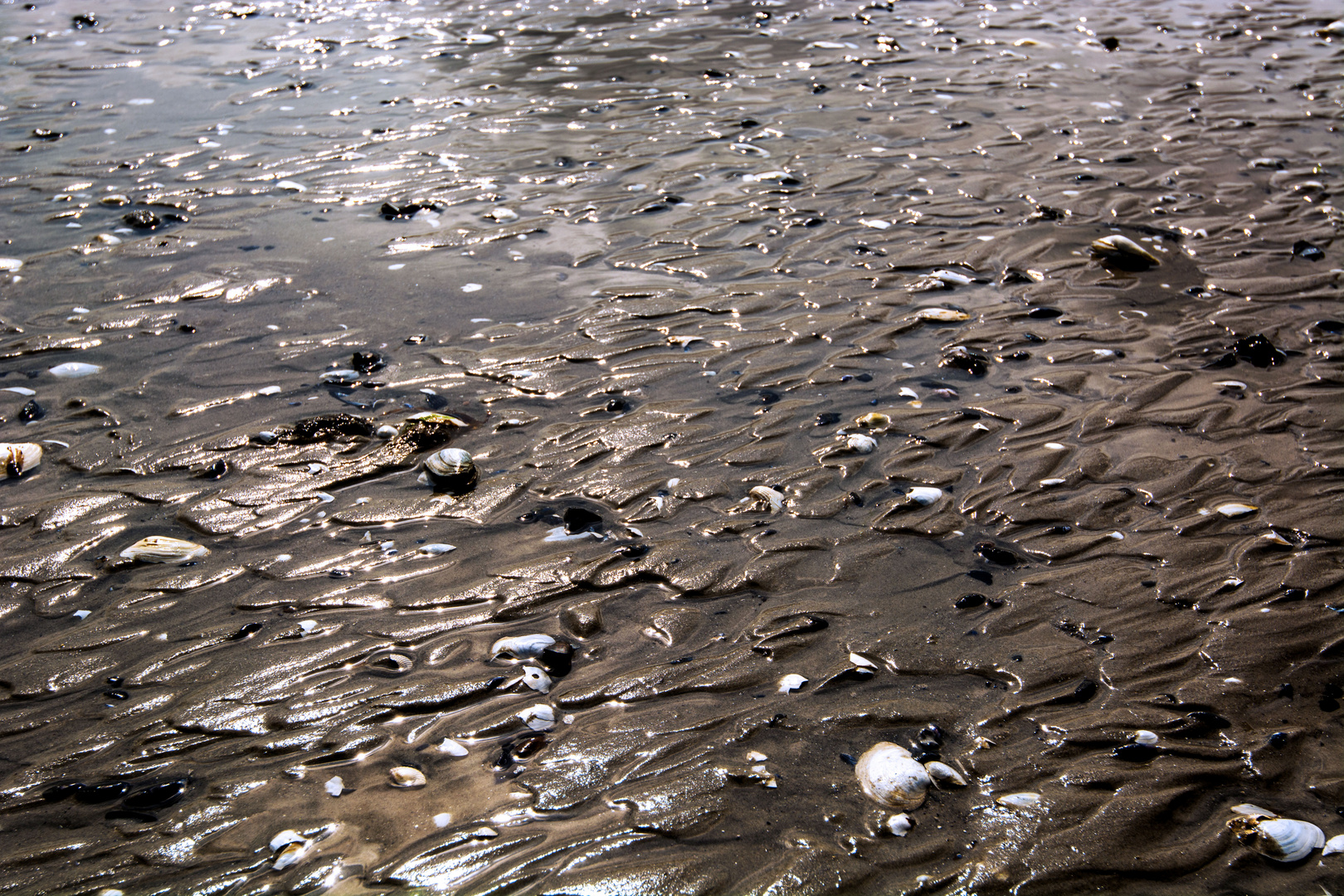 suche deine Spuren im Sand...!! ;-) Foto & Bild | natur ...