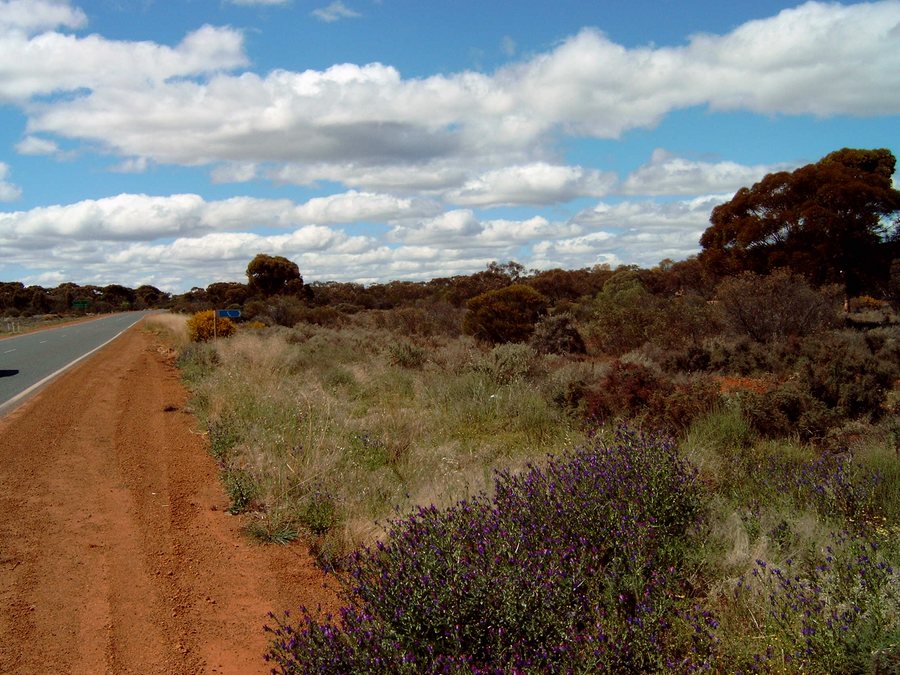 Suche ein Telefon zwischen Wave Rock und Kalgoorlie