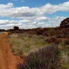 Suche ein Telefon zwischen Wave Rock und Kalgoorlie