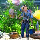 Suche Job als Aquariumreiniger