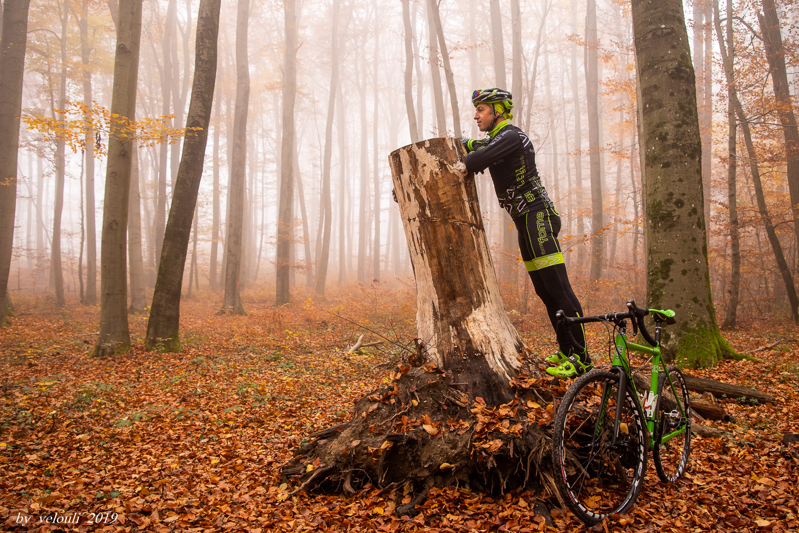 Suchen im herbstlichen Nebel