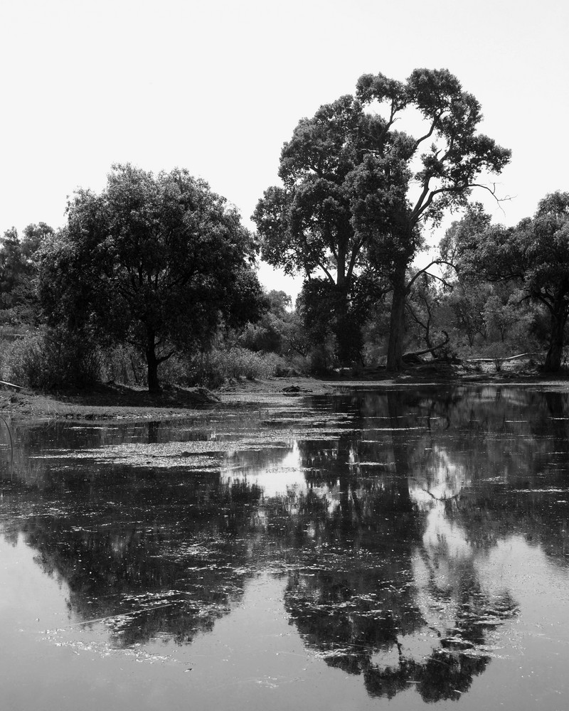 Sucios Reflejos