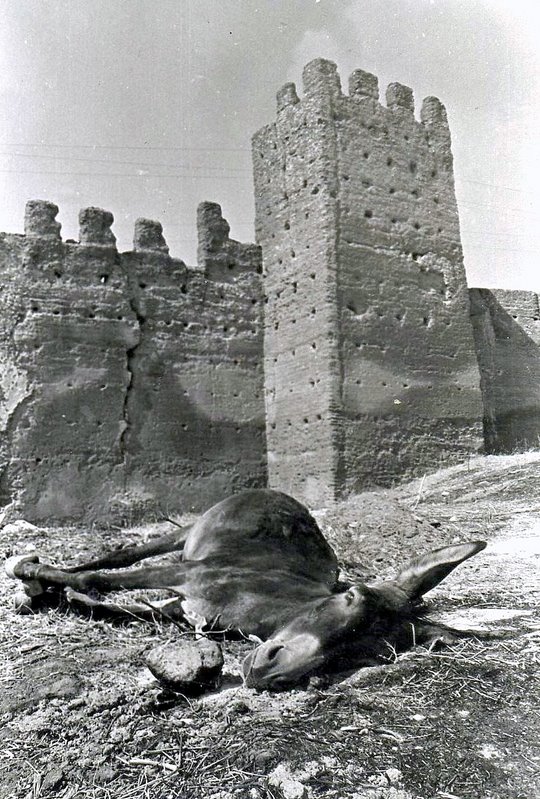 sud du maroc